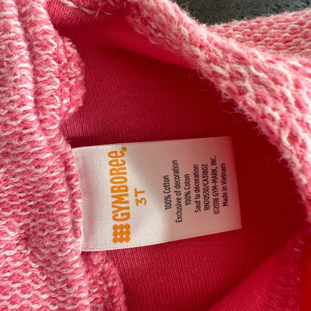 Gymboree Pink birdie on a bike Dress